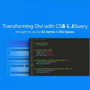 Transforming Divi with CSS JQuery