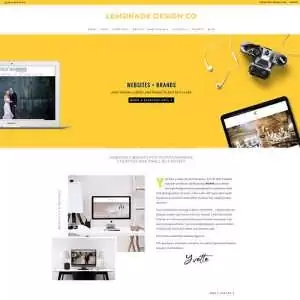 Lemonade Webdesign Development