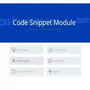 code snippet module